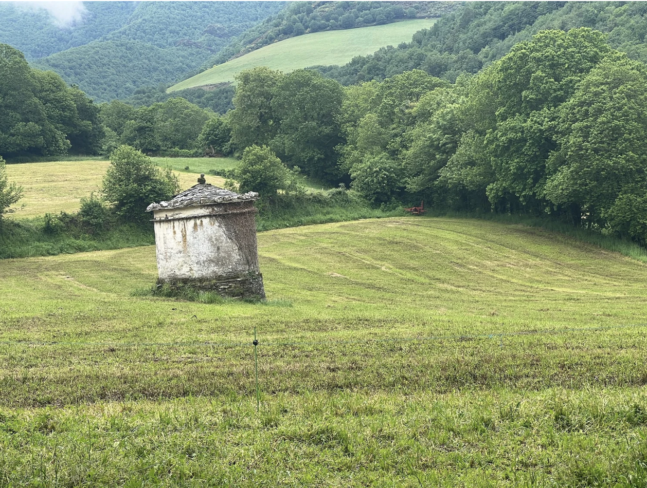 Screenshot 2026-03-11 at 9.58.31 AM.png