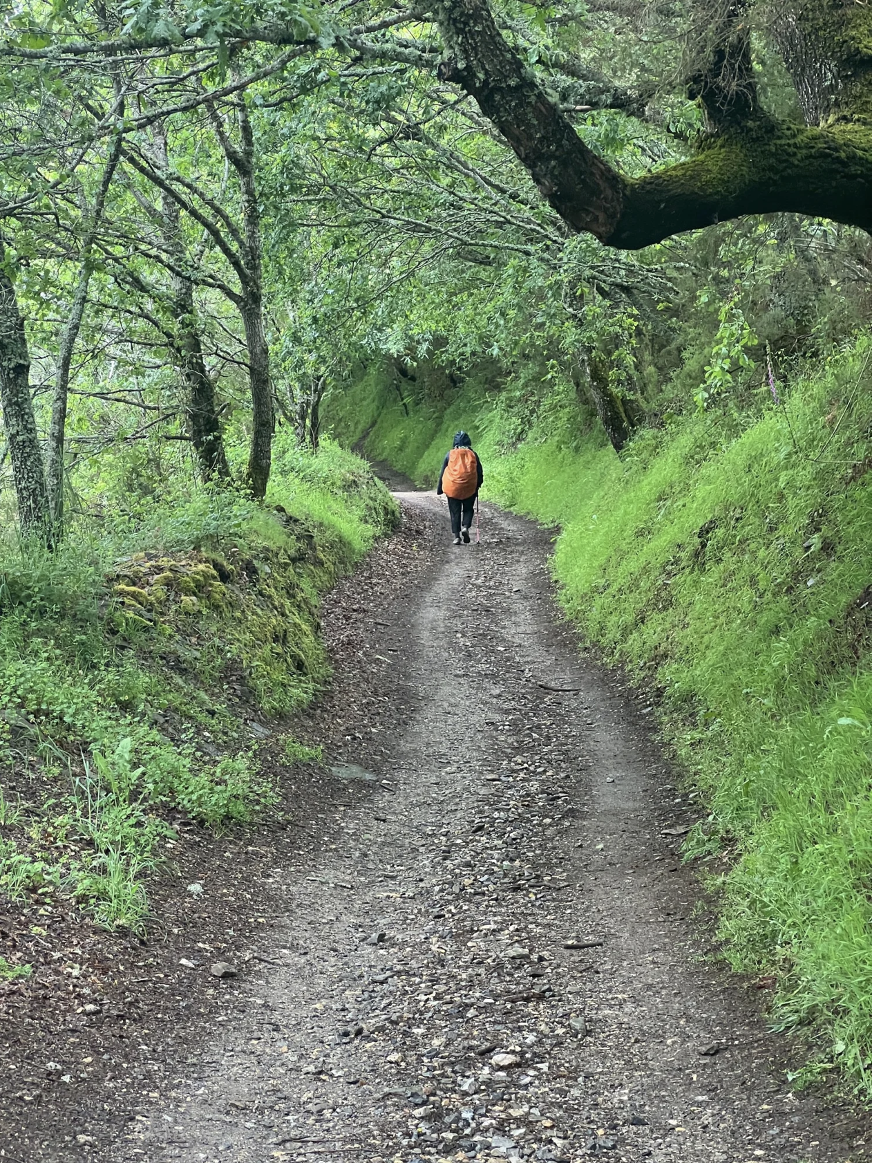 Screenshot 2026-03-11 at 9.58.57 AM.png