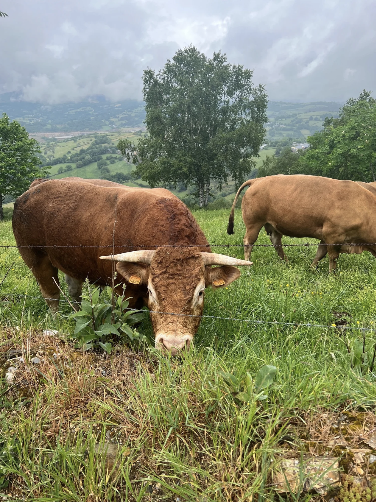 Screenshot 2026-03-11 at 9.59.11 AM.png