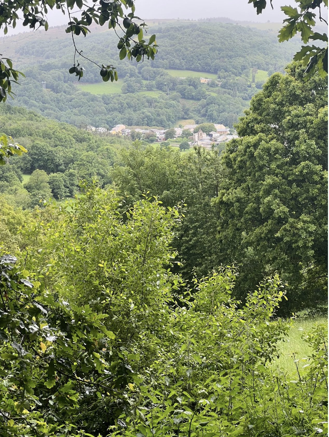 Screenshot 2026-03-11 at 9.59.24 AM.png