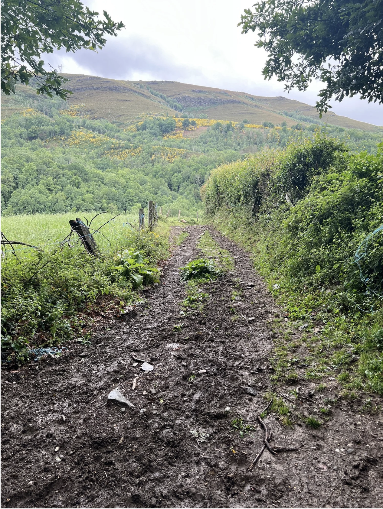 Screenshot 2026-03-11 at 10.00.06 AM.png