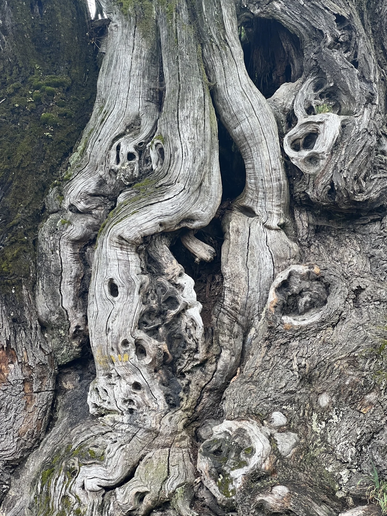 Screenshot 2026-03-11 at 10.00.59 AM.png