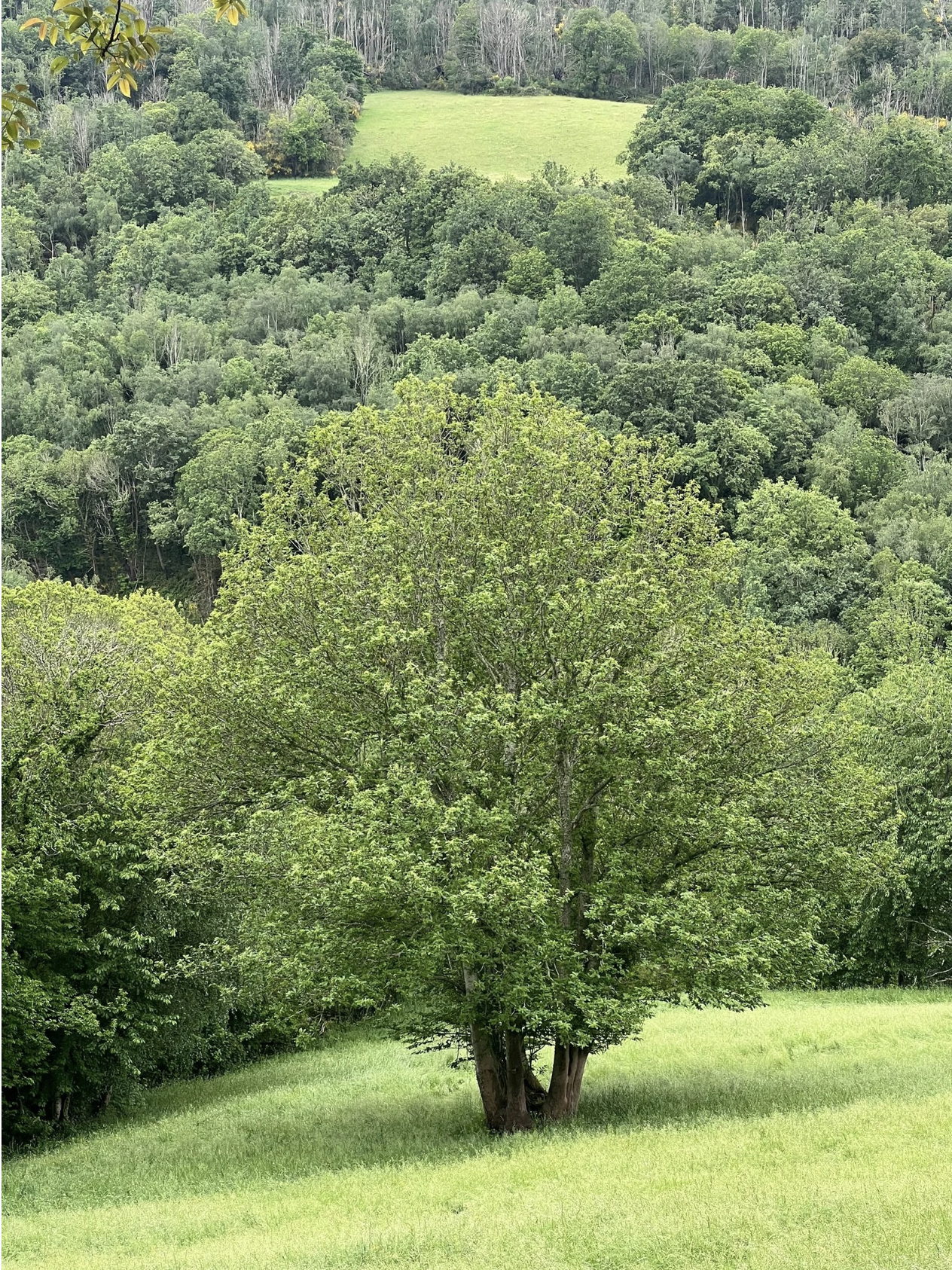 Screenshot 2026-03-11 at 10.01.13 AM.png