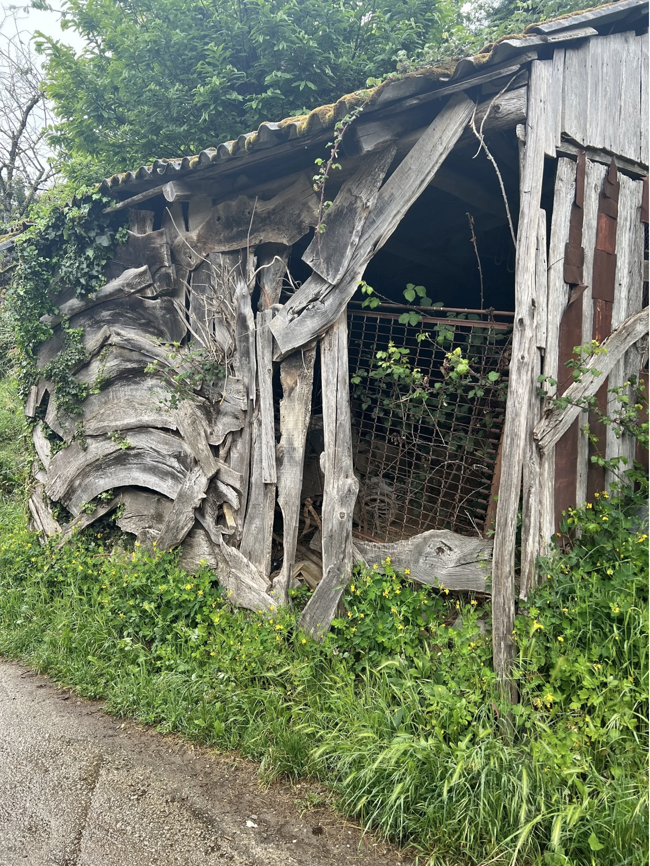 Screenshot 2026-03-11 at 10.01.27 AM.png