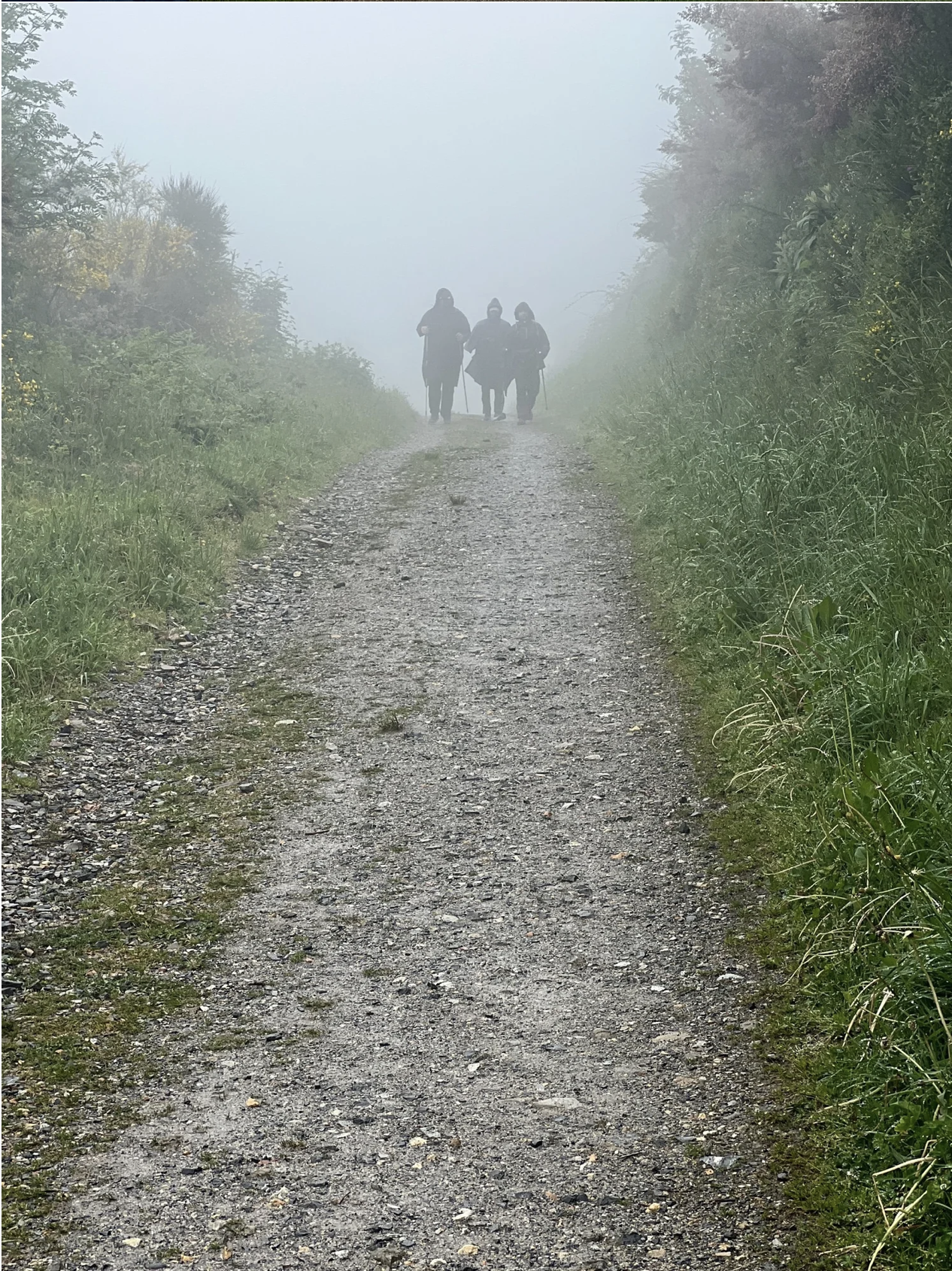 Screenshot 2026-03-11 at 10.02.09 AM.png