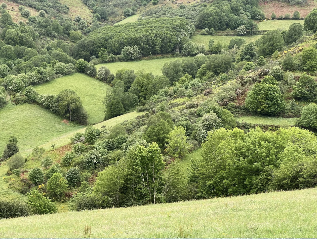 Screenshot 2026-03-11 at 10.02.23 AM.png