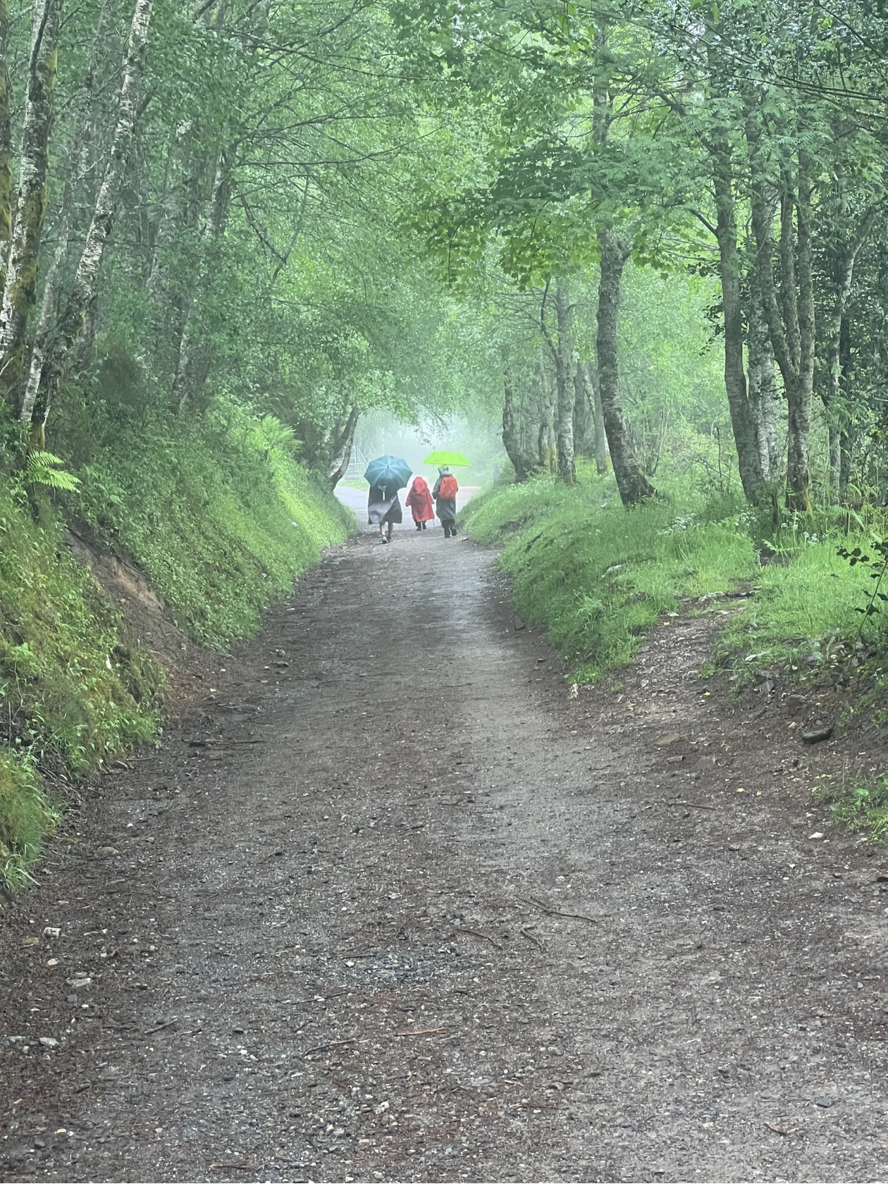 Screenshot 2026-03-11 at 10.02.41 AM.png