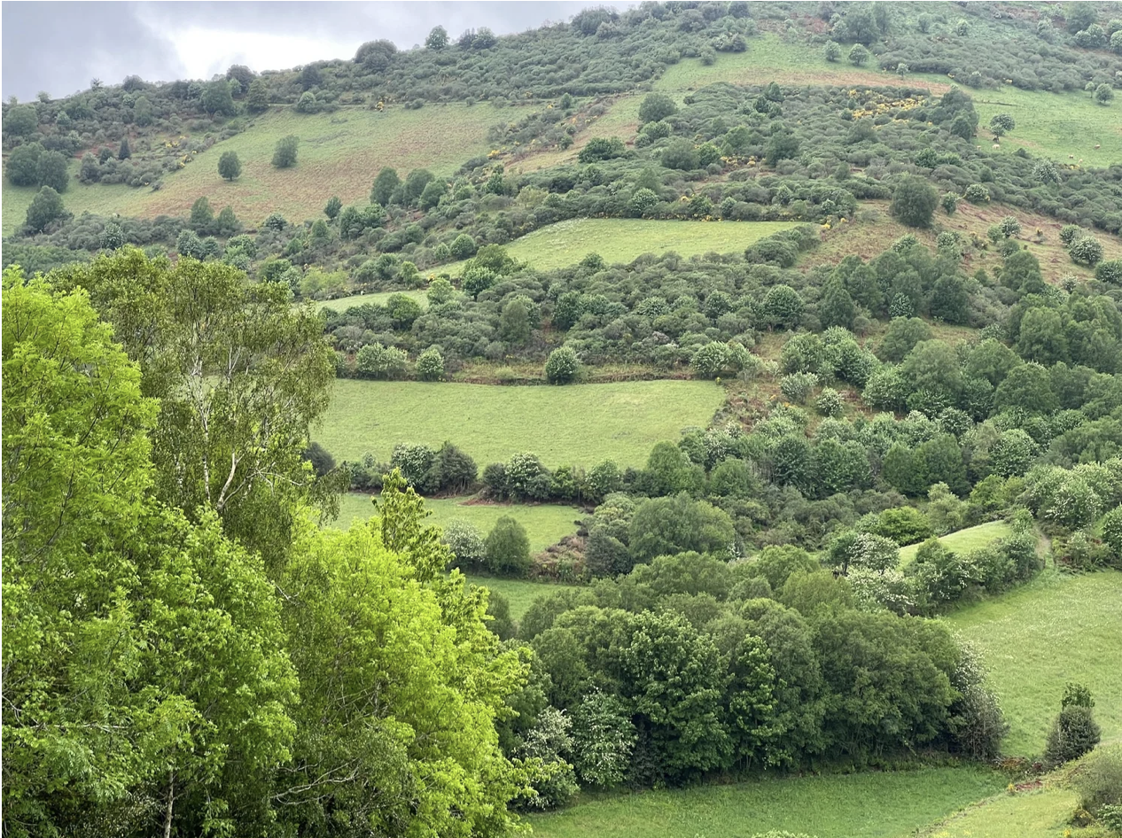 Screenshot 2026-03-11 at 10.03.03 AM.png