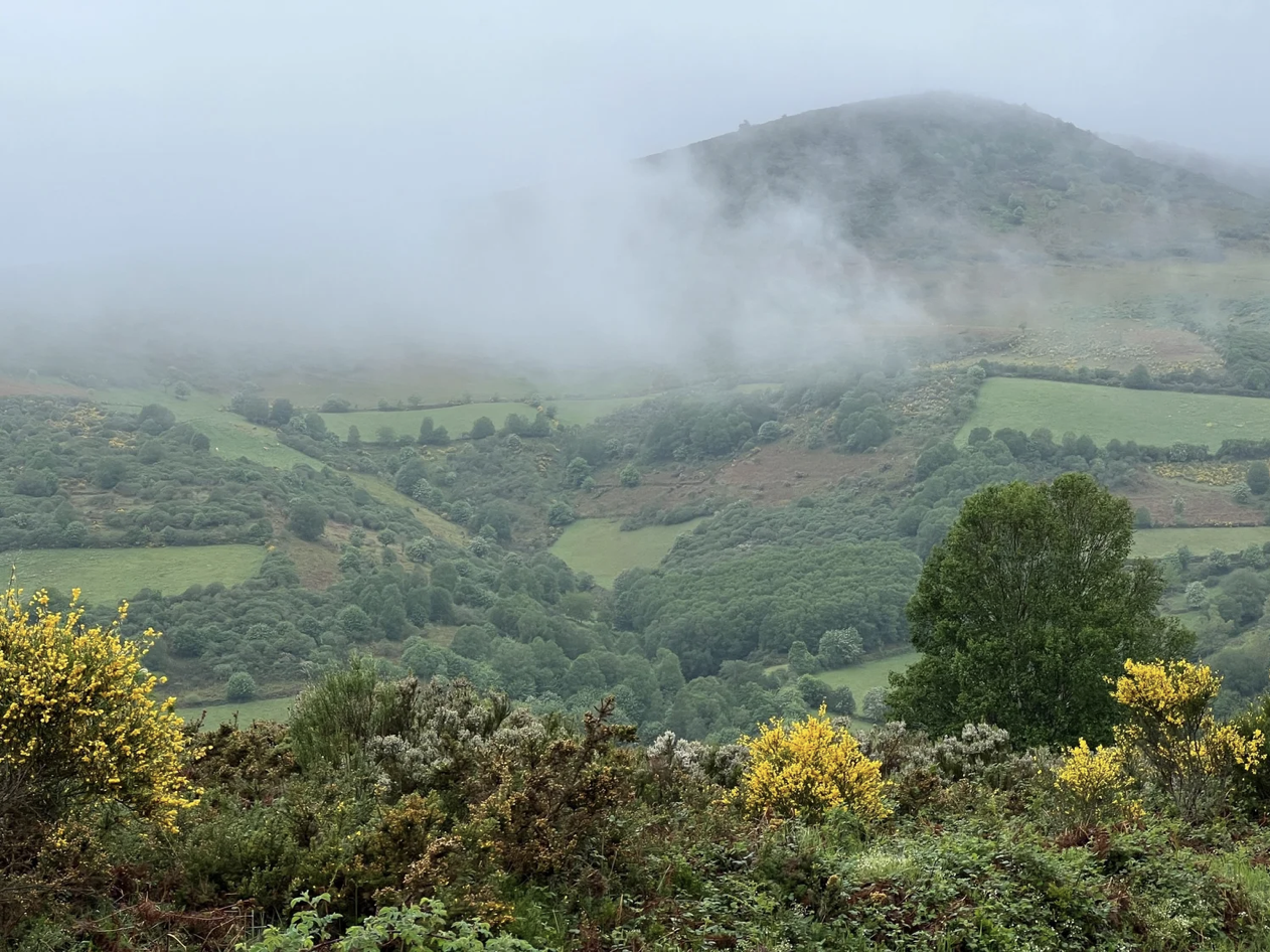 Screenshot 2026-03-11 at 10.03.16 AM.png