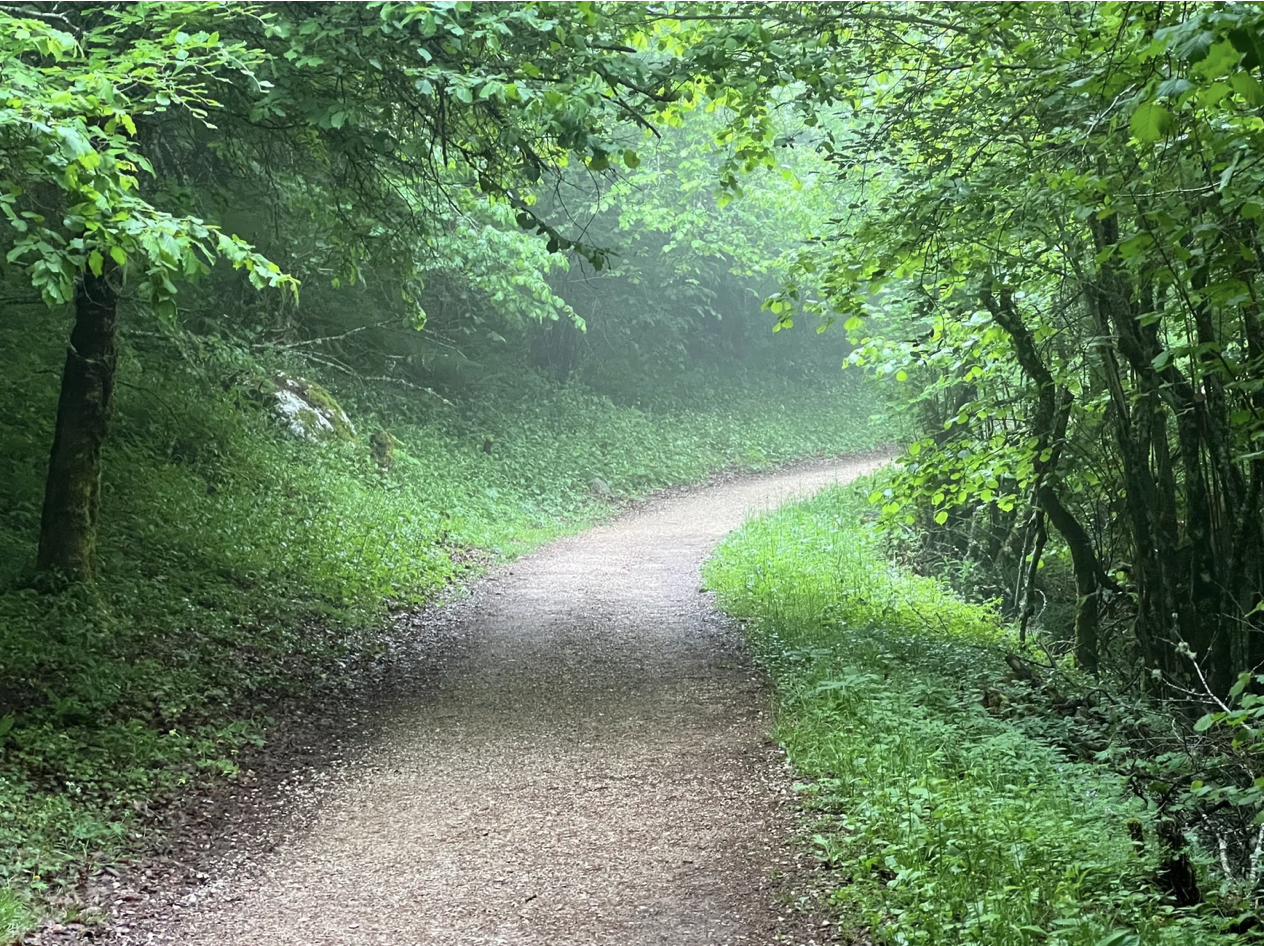 Screenshot 2026-03-11 at 10.03.28 AM.png