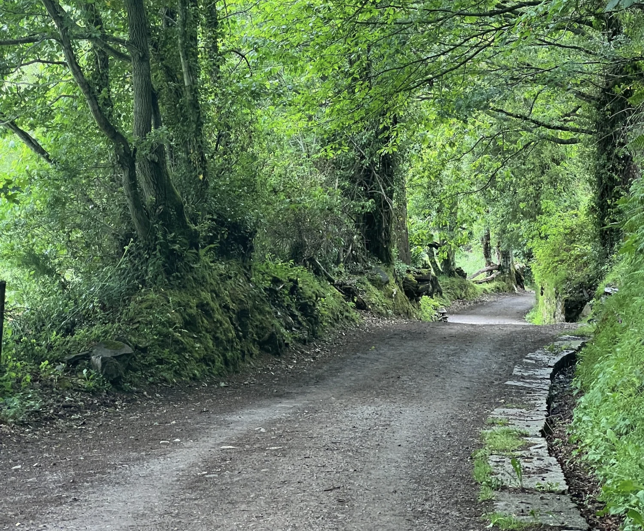 Day 32 O’Cebreiro to Tricastela