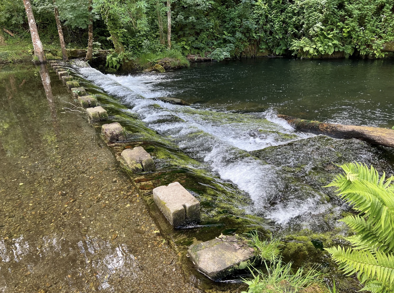 Screenshot 2026-03-11 at 10.07.20 AM.png