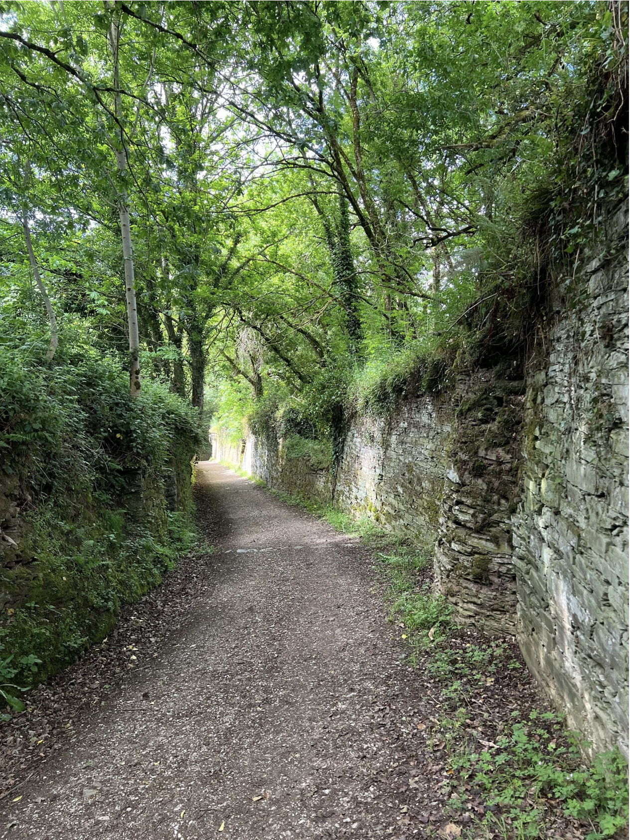 Screenshot 2026-03-11 at 10.08.16 AM.png