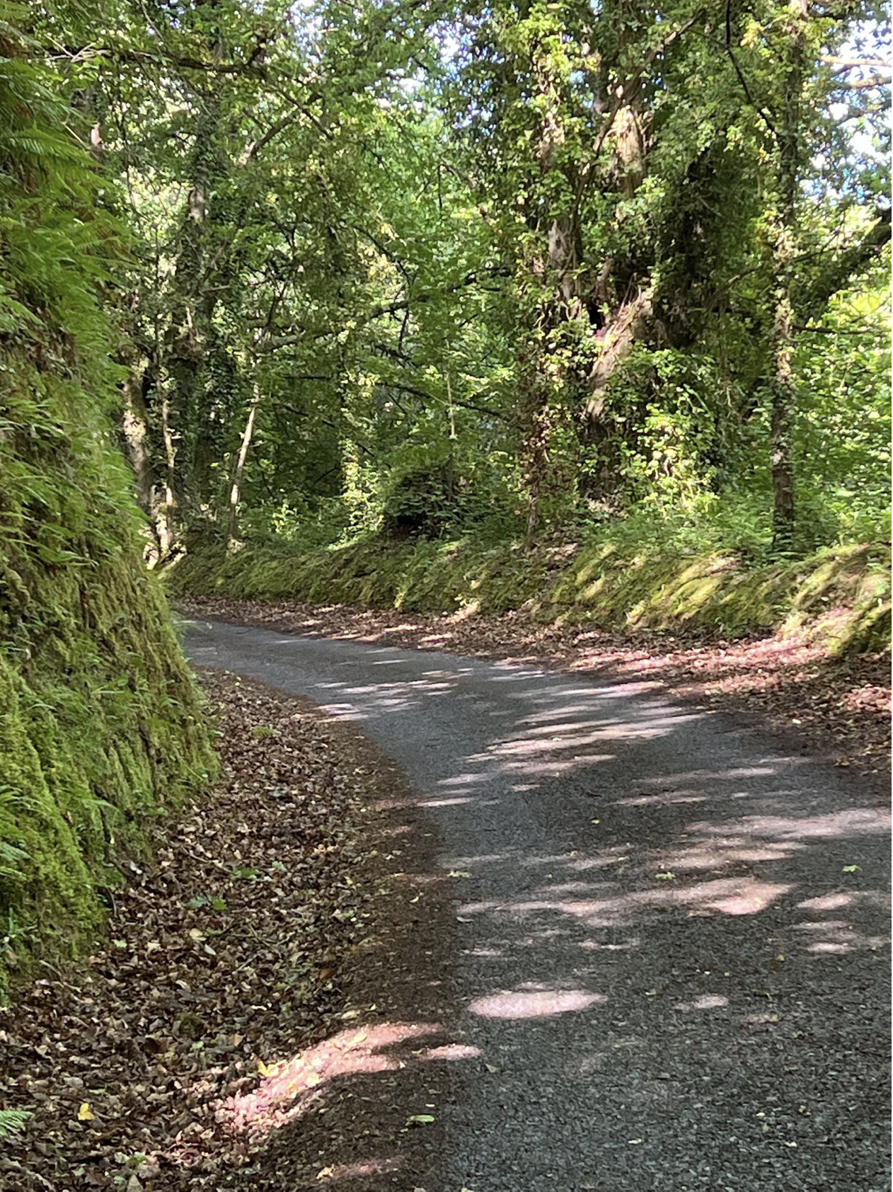 Screenshot 2026-03-11 at 10.08.28 AM.png