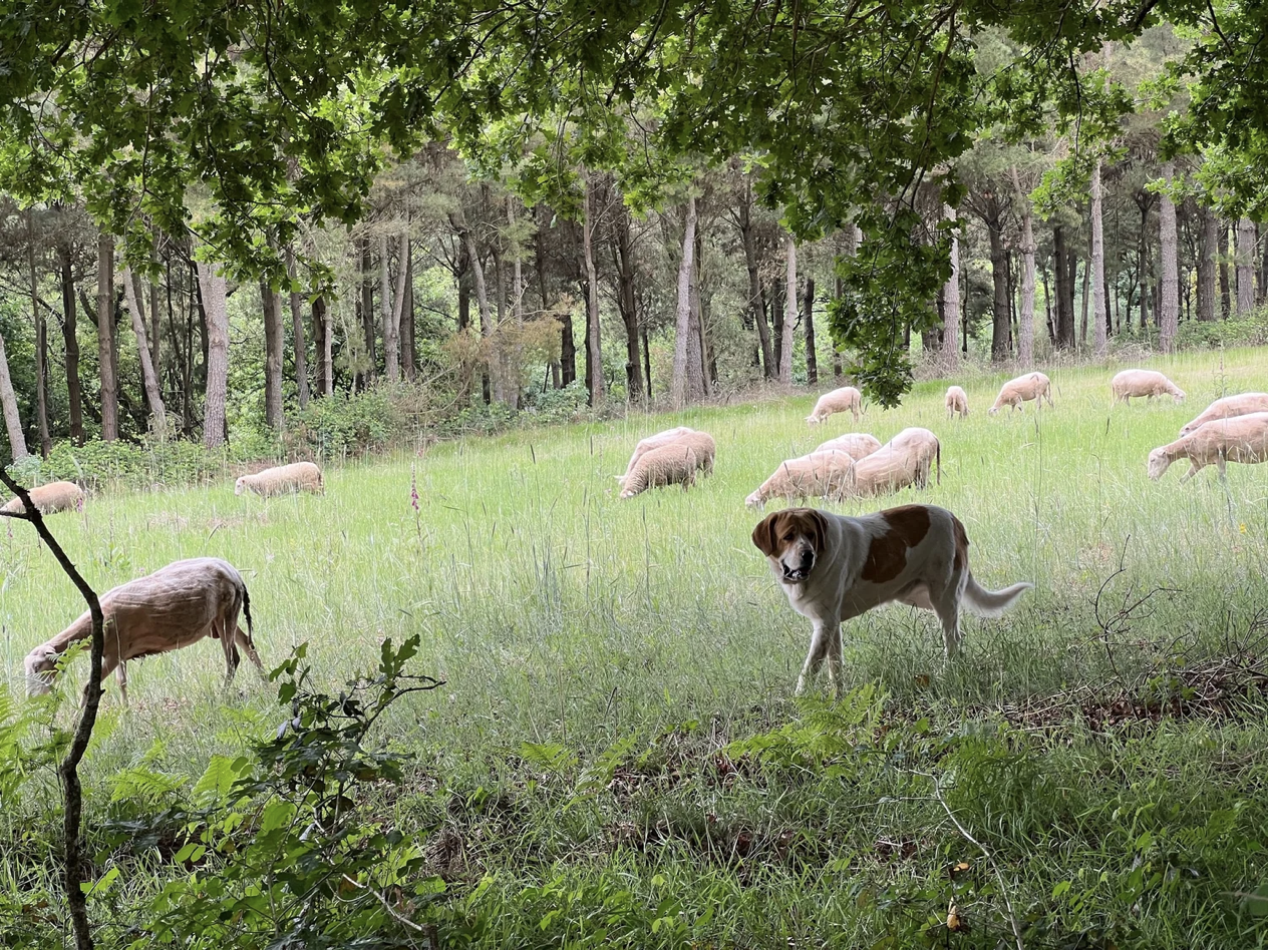 Screenshot 2026-03-11 at 10.08.43 AM.png