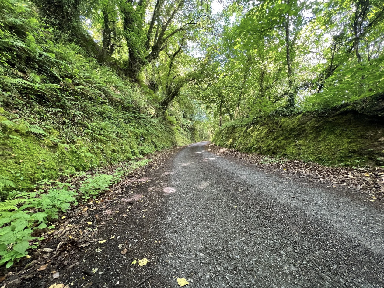 Screenshot 2026-03-11 at 10.08.56 AM.png