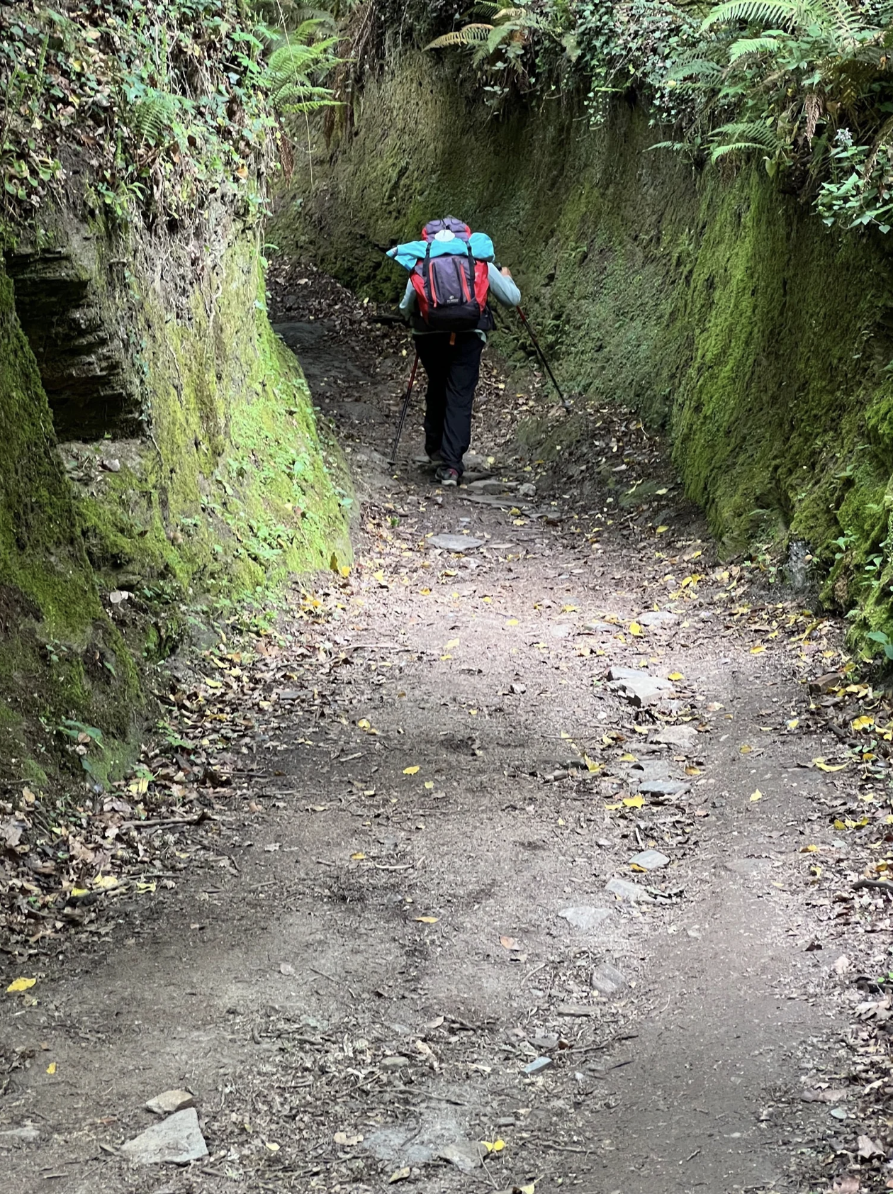 Screenshot 2026-03-11 at 10.09.09 AM.png