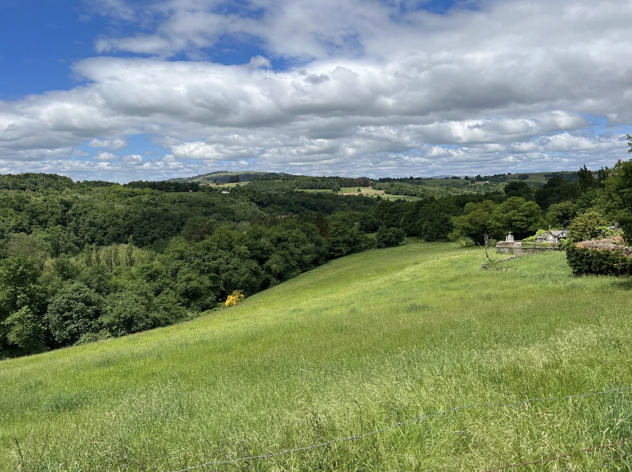 Screenshot 2026-03-11 at 10.09.20 AM.png