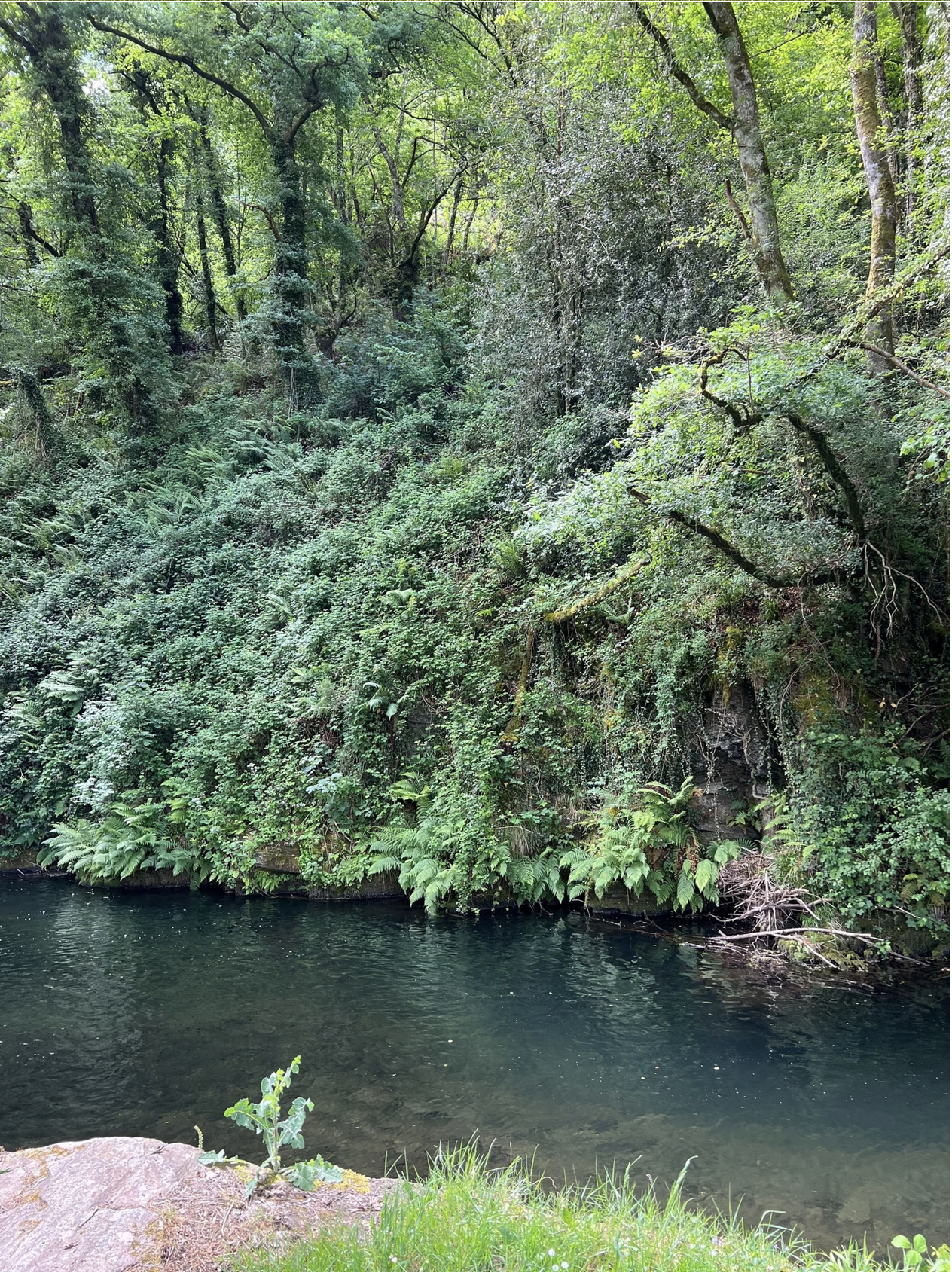 Screenshot 2026-03-11 at 10.09.33 AM.png