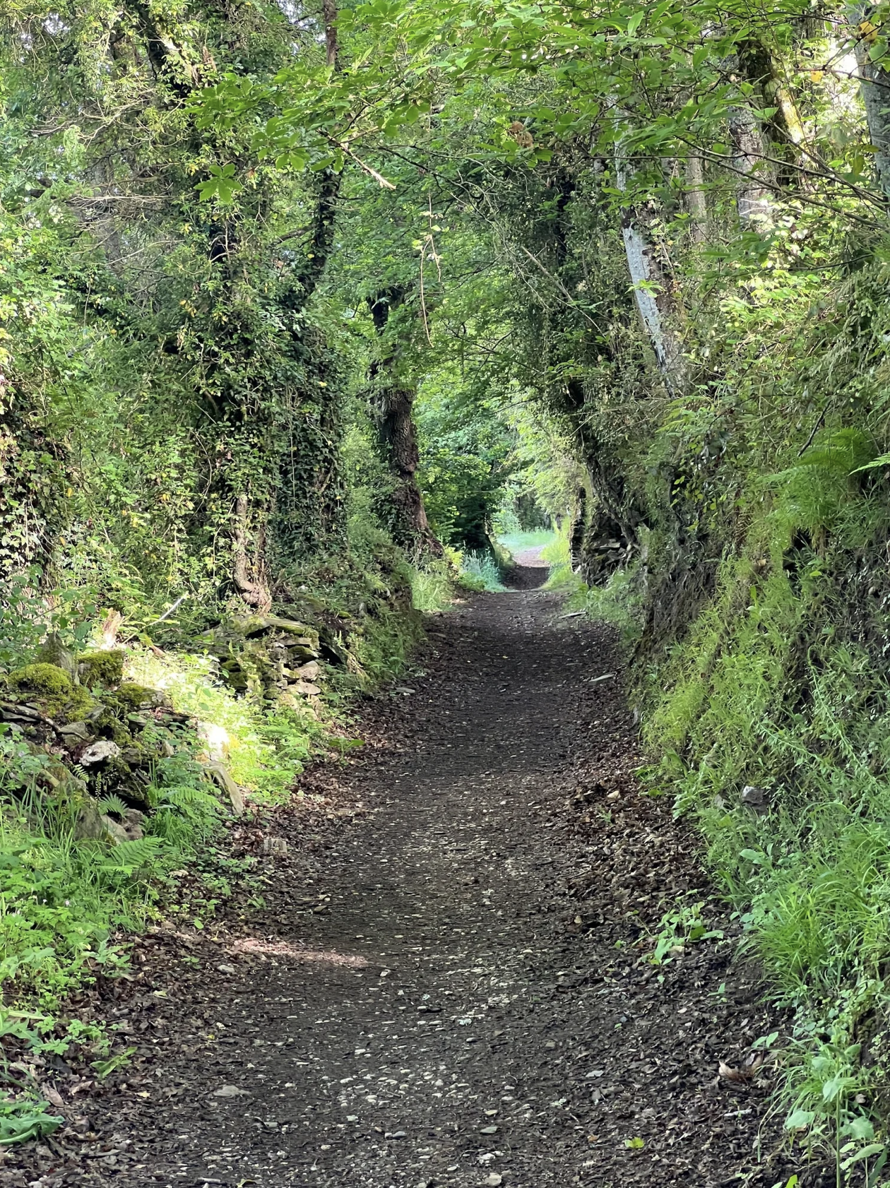 Screenshot 2026-03-11 at 10.09.47 AM.png