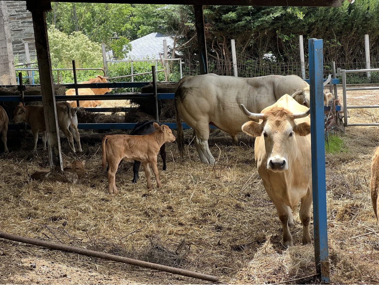 Screenshot 2026-03-11 at 10.11.09 AM.png