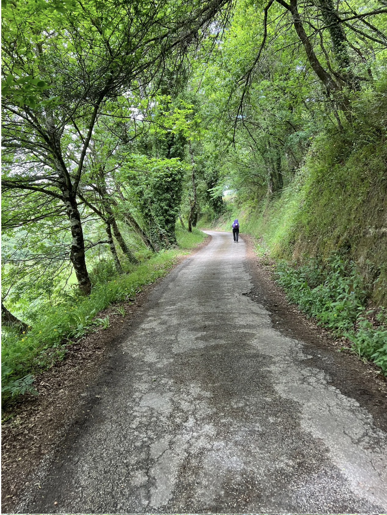 Screenshot 2026-03-11 at 10.11.25 AM.png