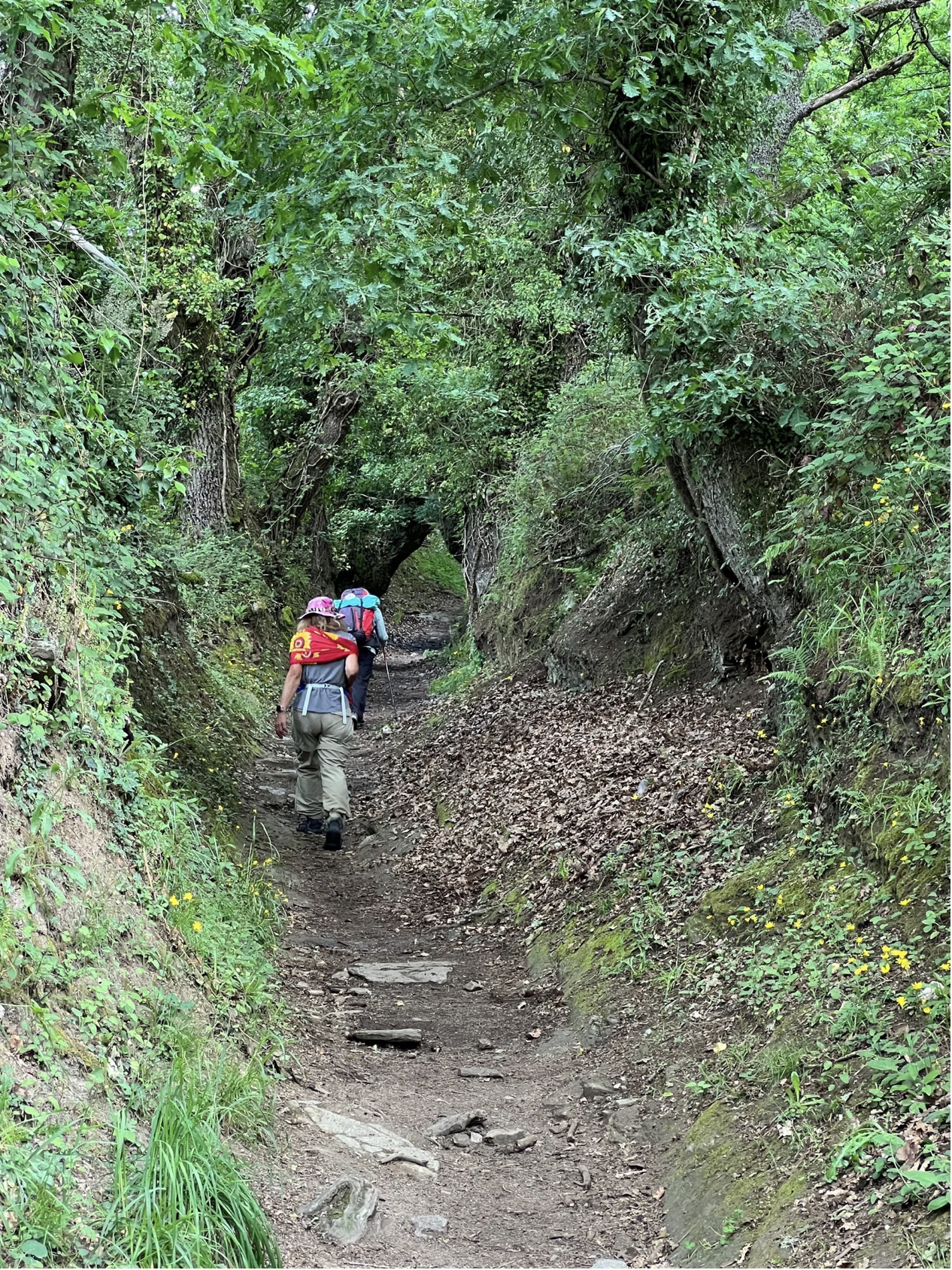 Screenshot 2026-03-11 at 10.11.41 AM.png