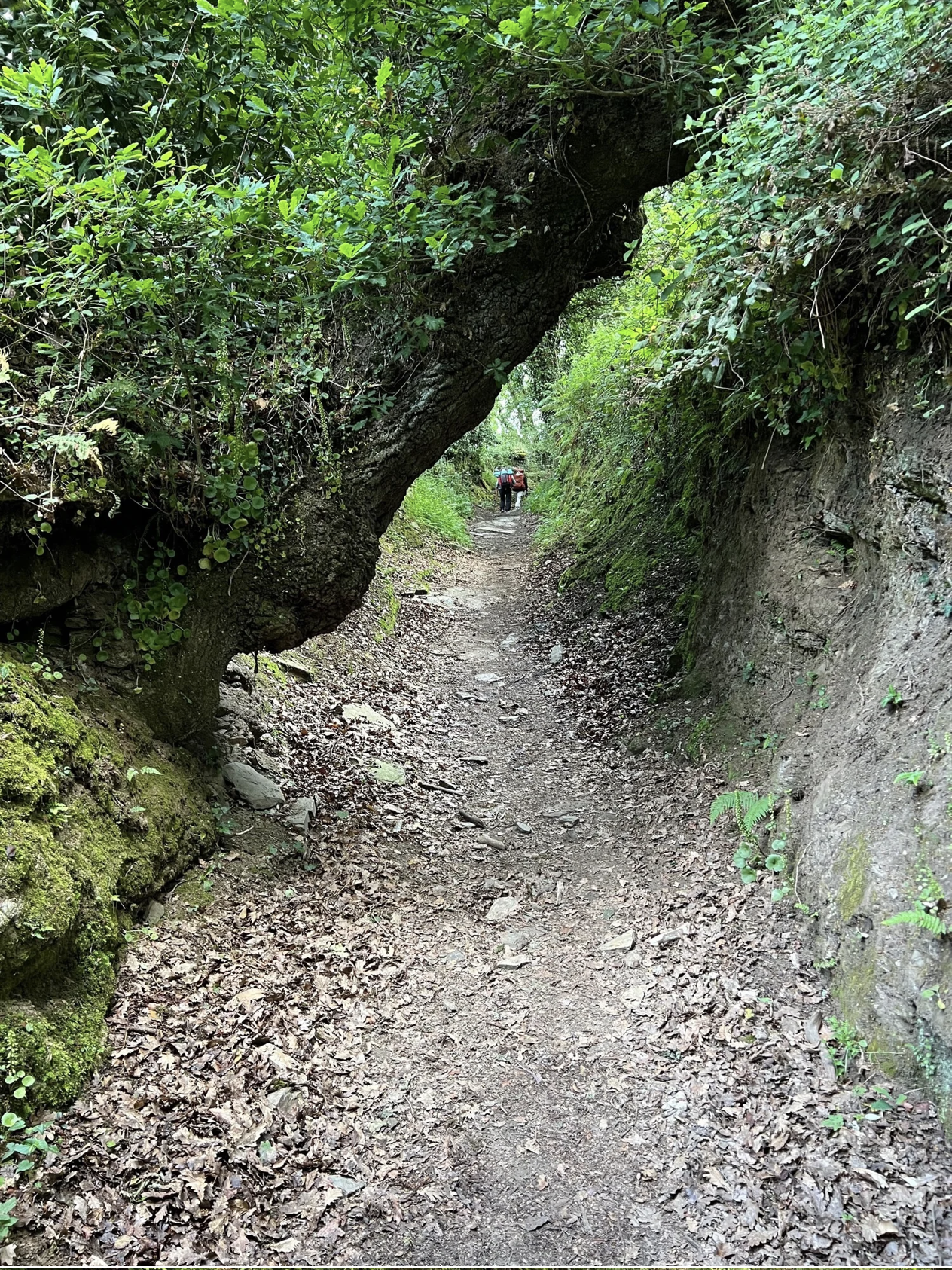 Screenshot 2026-03-11 at 10.11.59 AM.png