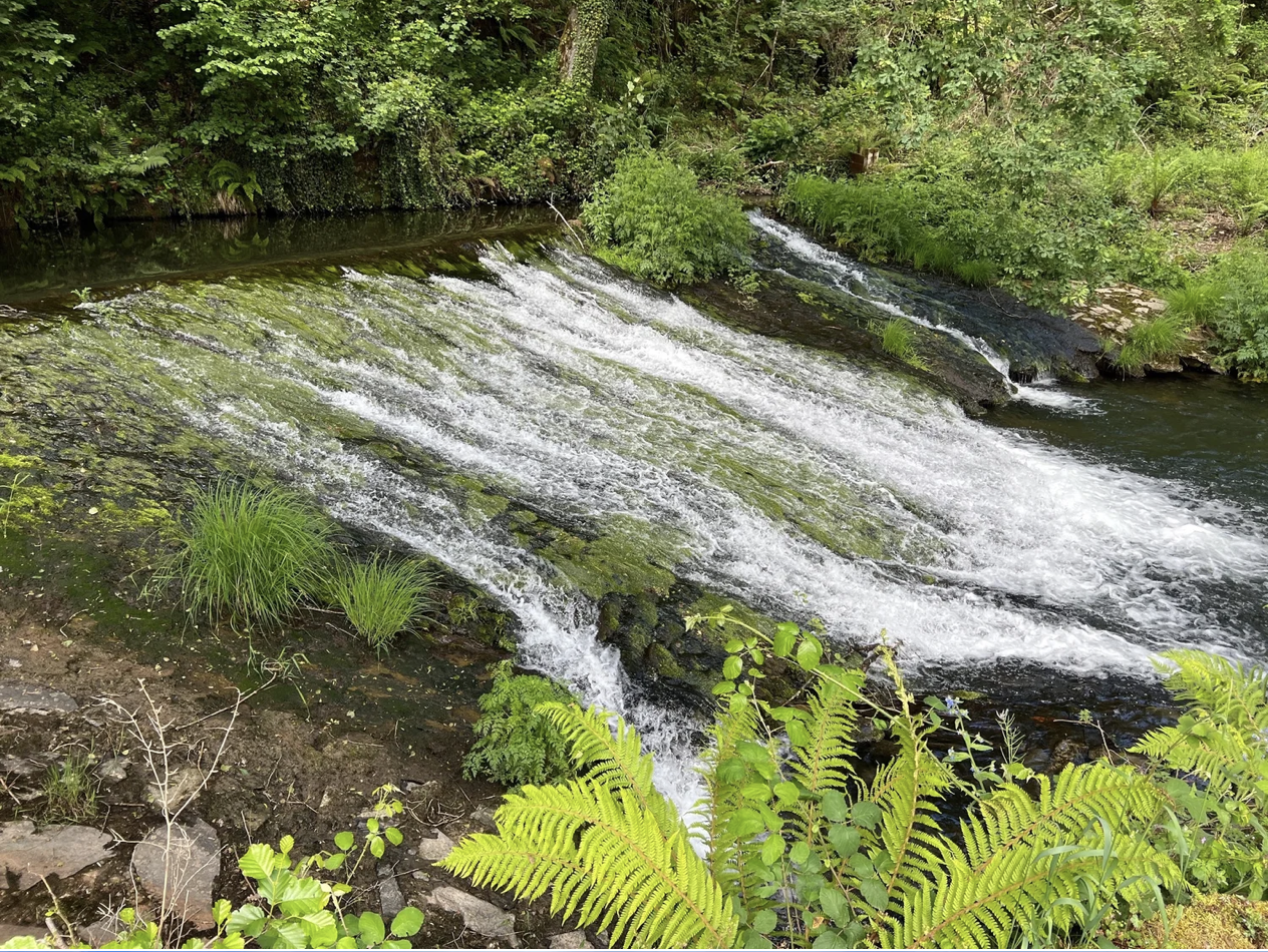 Screenshot 2026-03-11 at 10.12.10 AM.png