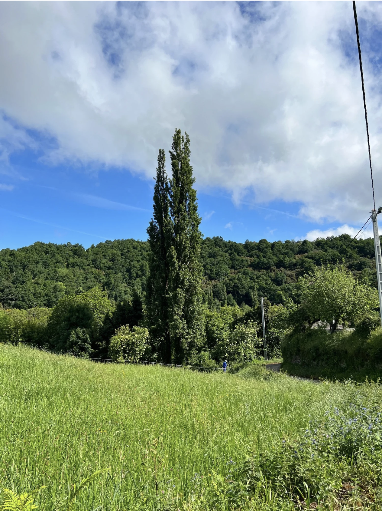 Screenshot 2026-03-11 at 10.13.09 AM.png