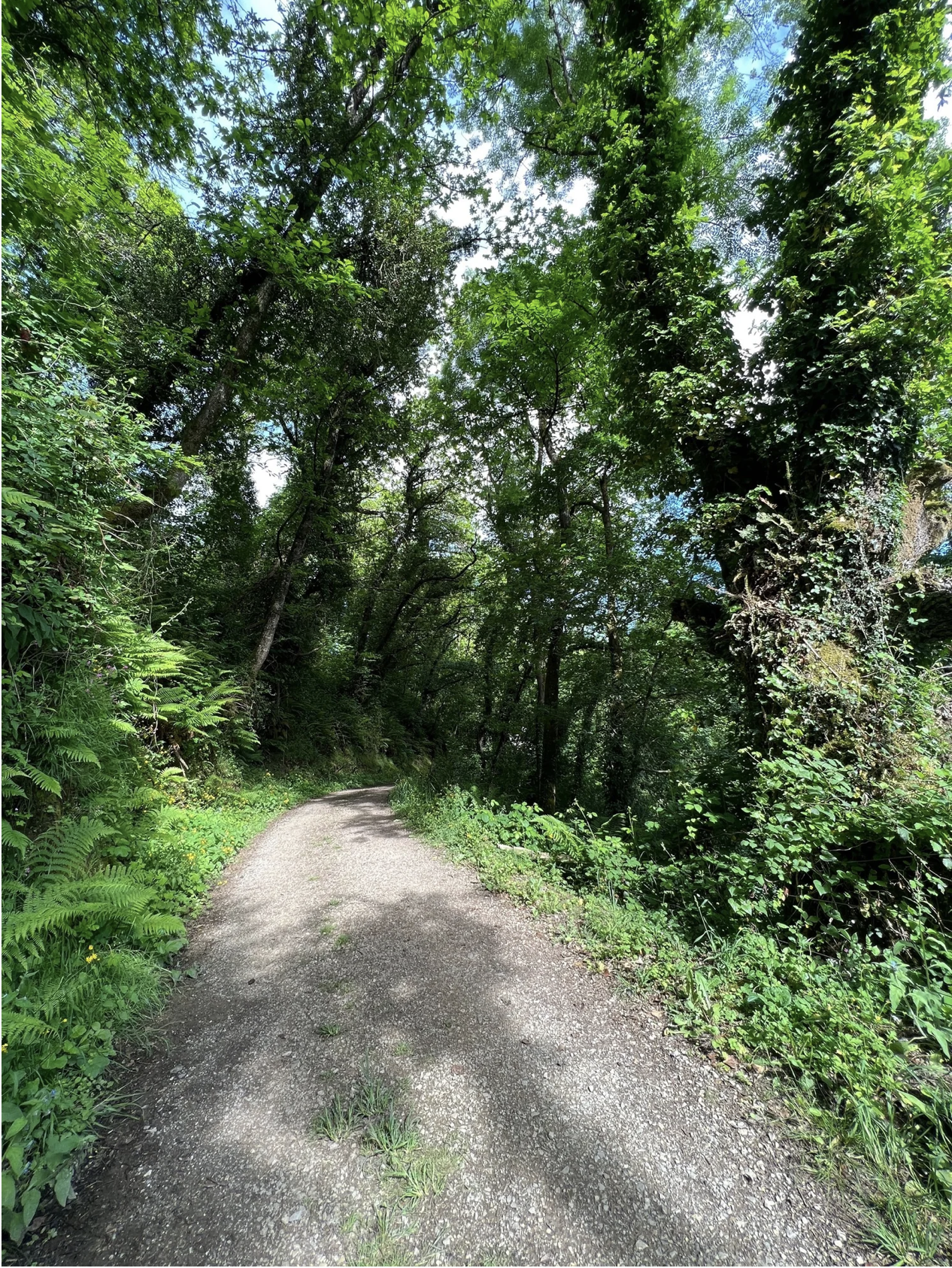 Screenshot 2026-03-11 at 10.13.21 AM.png