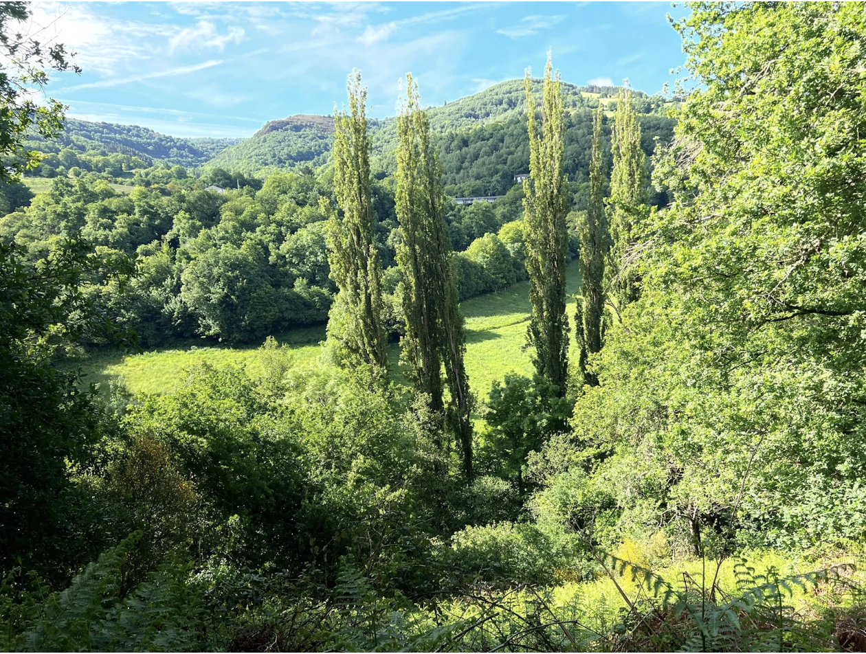 Screenshot 2026-03-11 at 10.13.33 AM.png