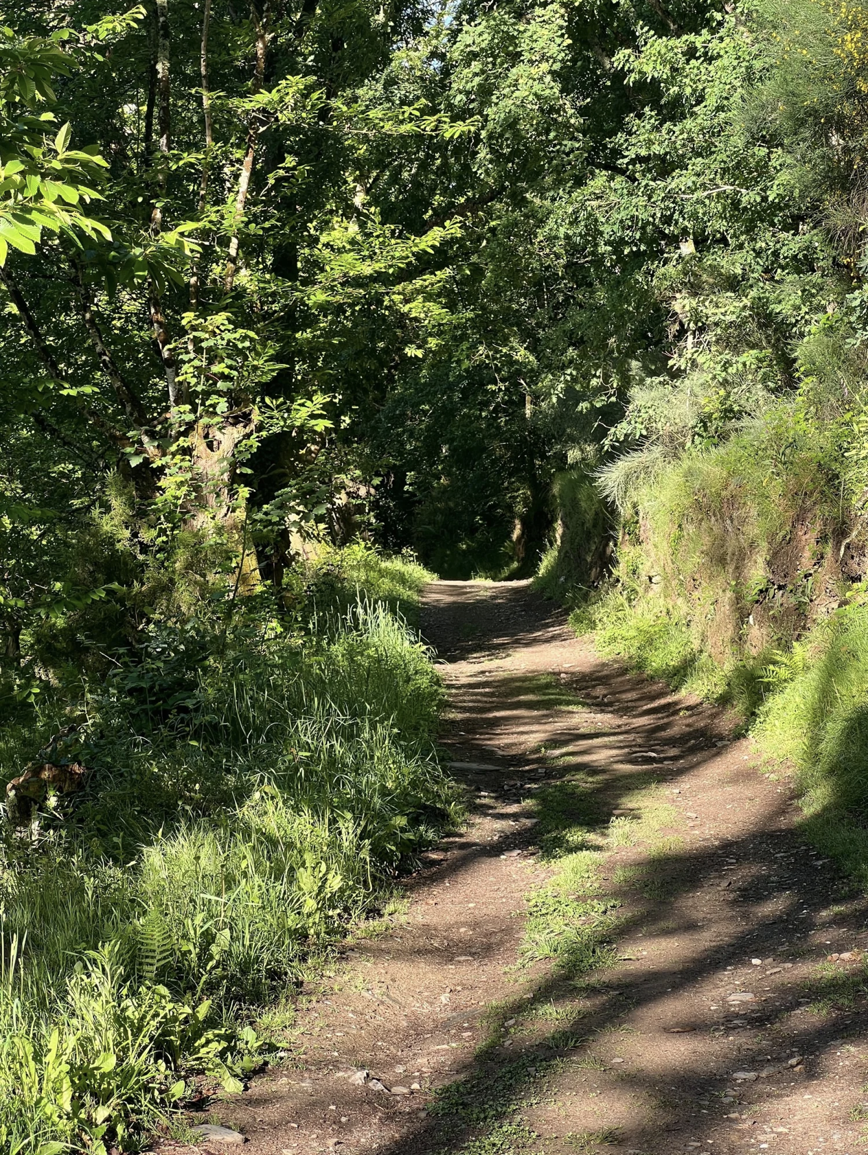 Screenshot 2026-03-11 at 10.13.47 AM.png