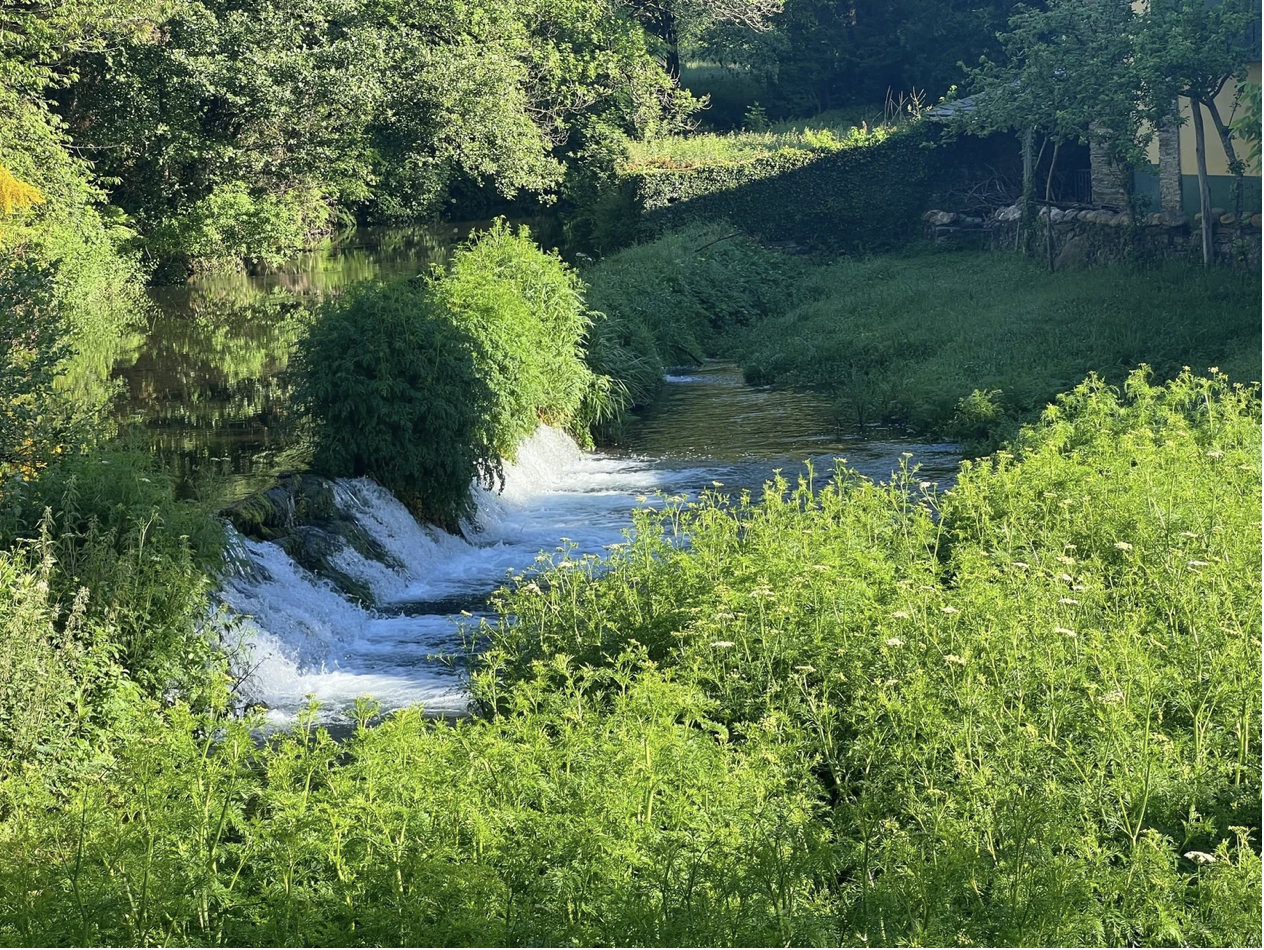 Screenshot 2026-03-11 at 10.14.00 AM.png