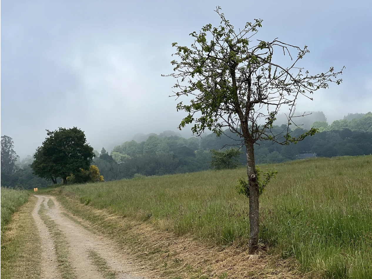 Screenshot 2026-03-11 at 10.17.01 AM.png