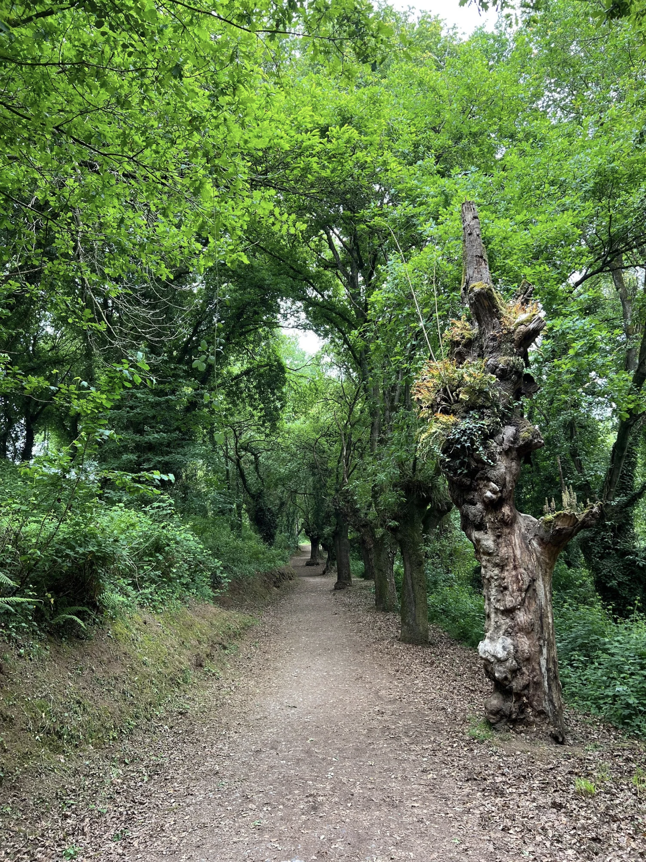 Screenshot 2026-03-11 at 10.18.31 AM.png