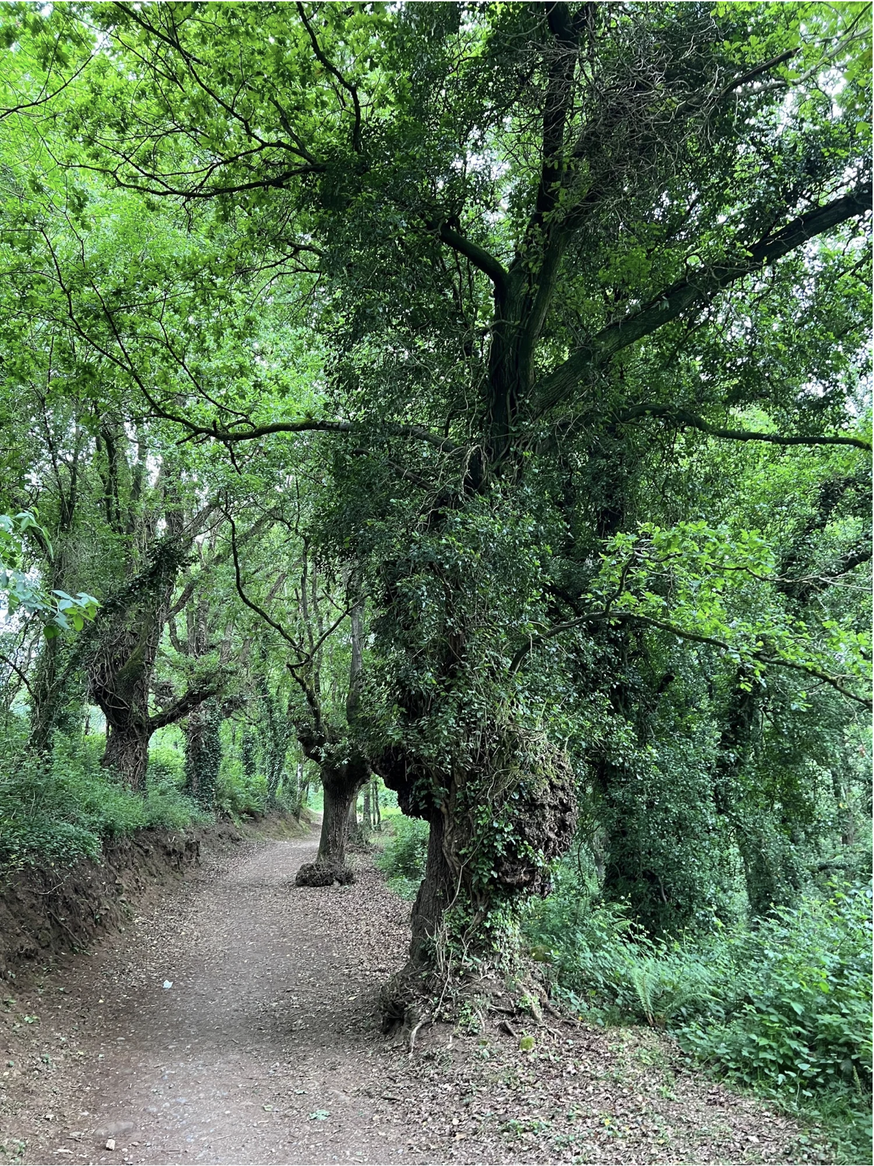 Screenshot 2026-03-11 at 10.18.48 AM.png