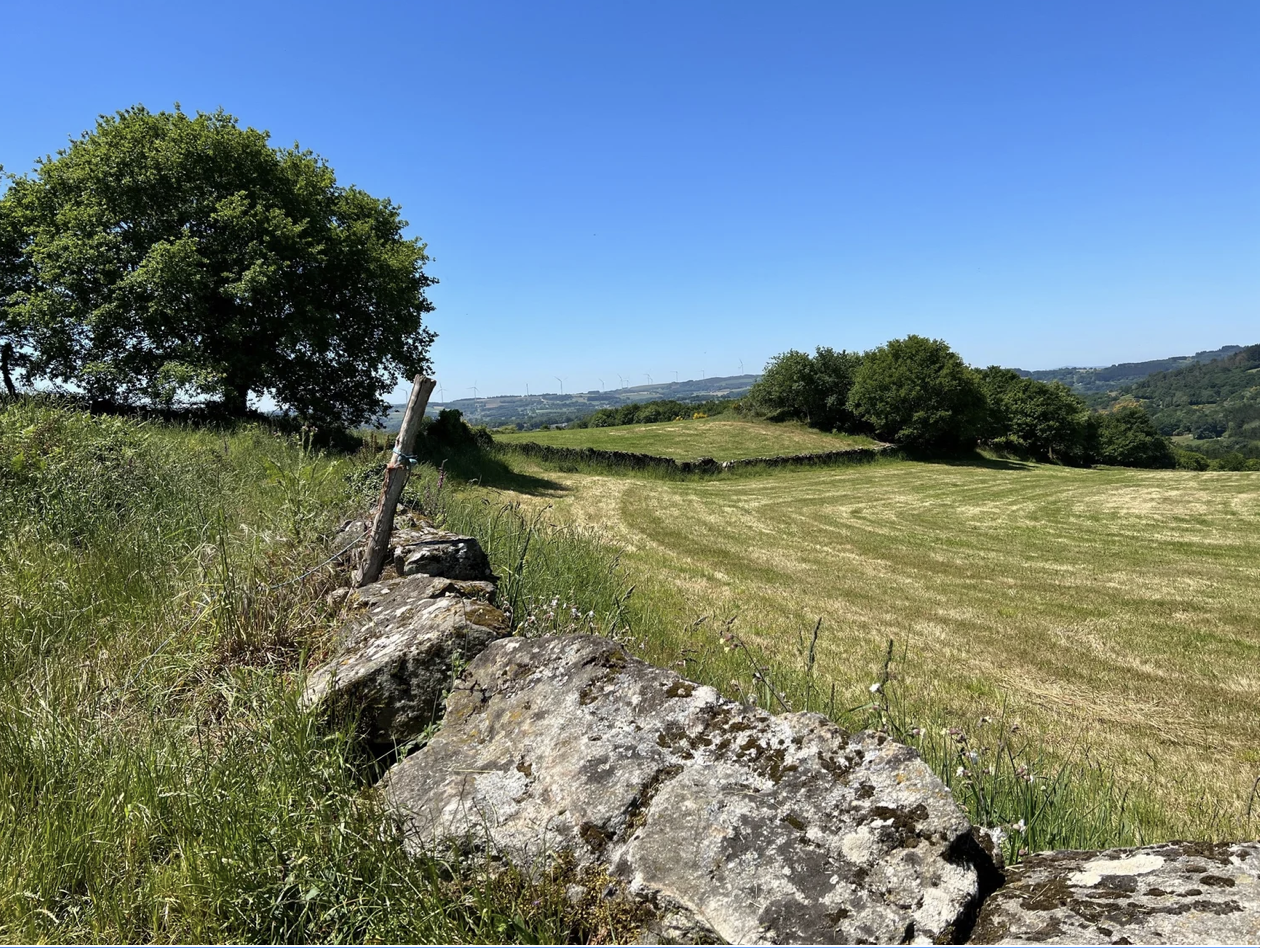 Screenshot 2026-03-11 at 10.19.02 AM.png