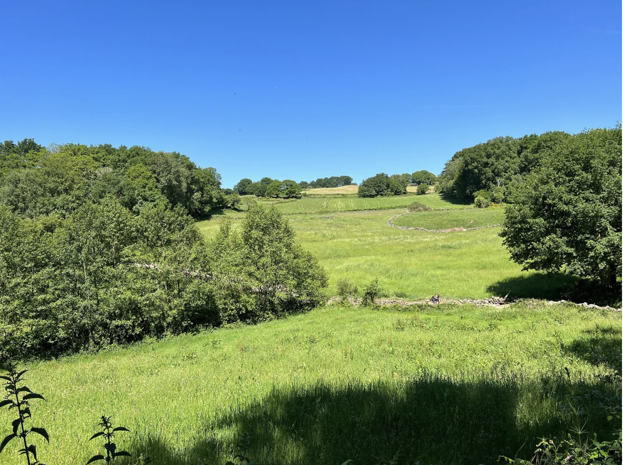 Screenshot 2026-03-11 at 10.19.31 AM.png