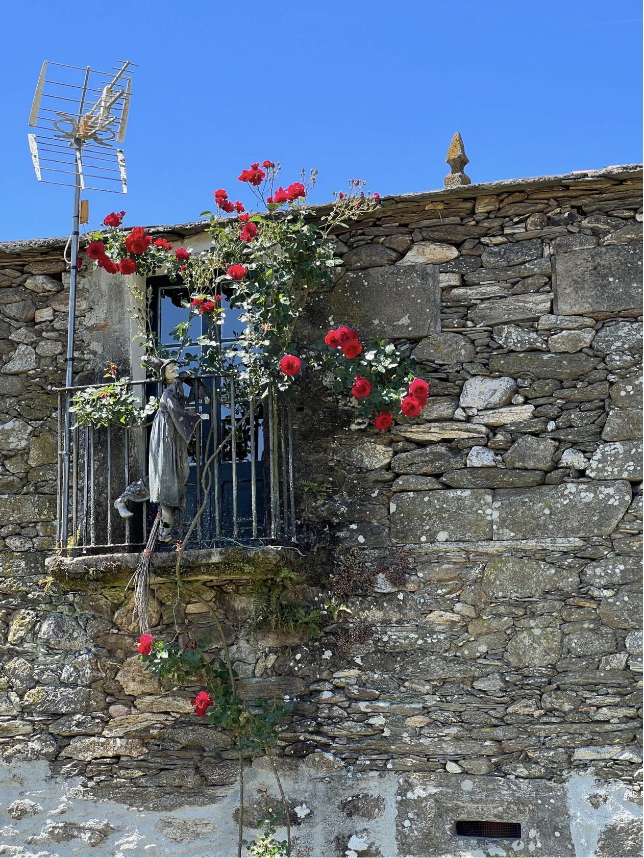 Screenshot 2026-03-11 at 10.19.45 AM.png