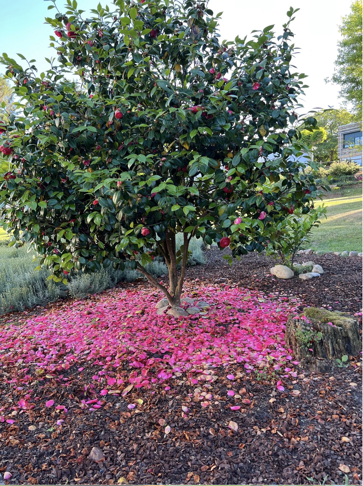 Screenshot 2026-03-11 at 10.20.36 AM.png