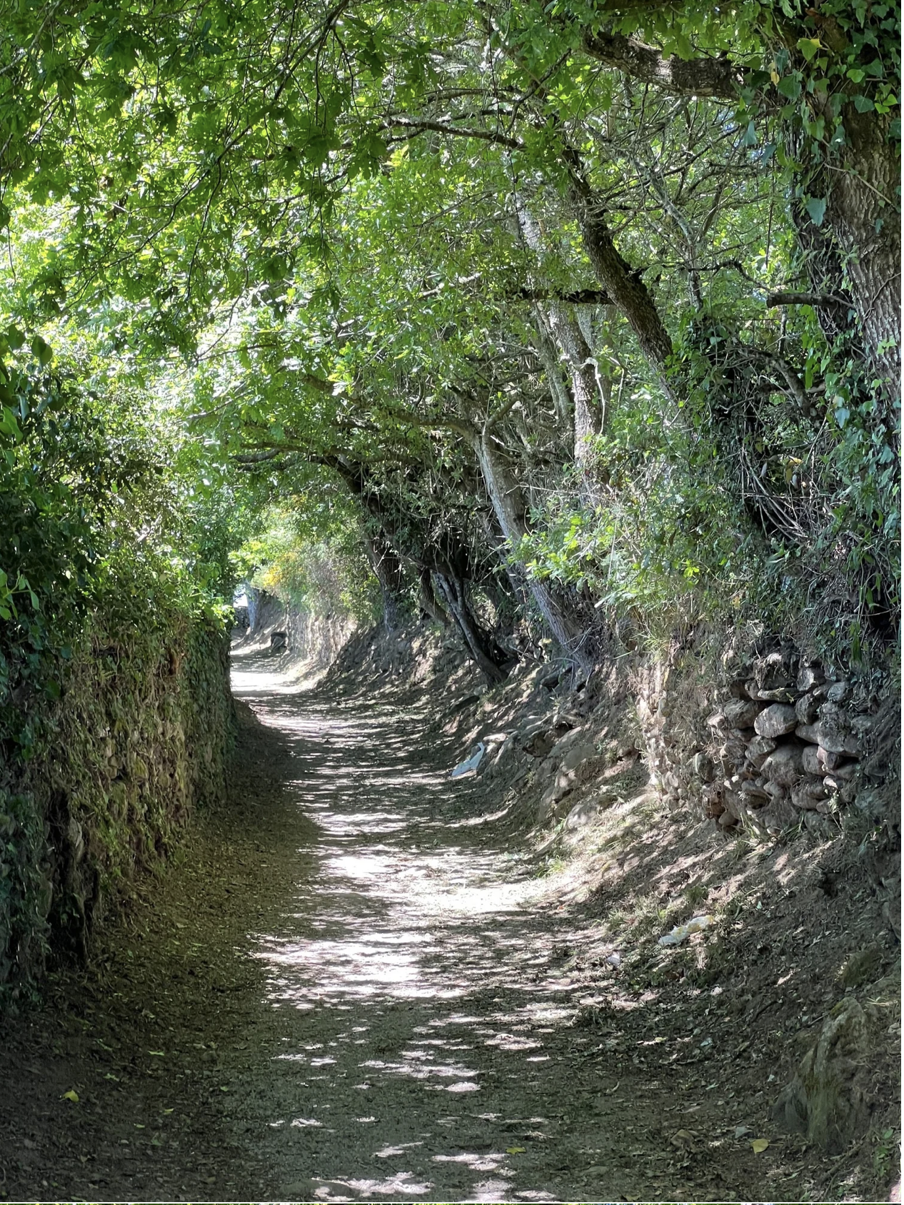 Screenshot 2026-03-11 at 10.21.51 AM.png