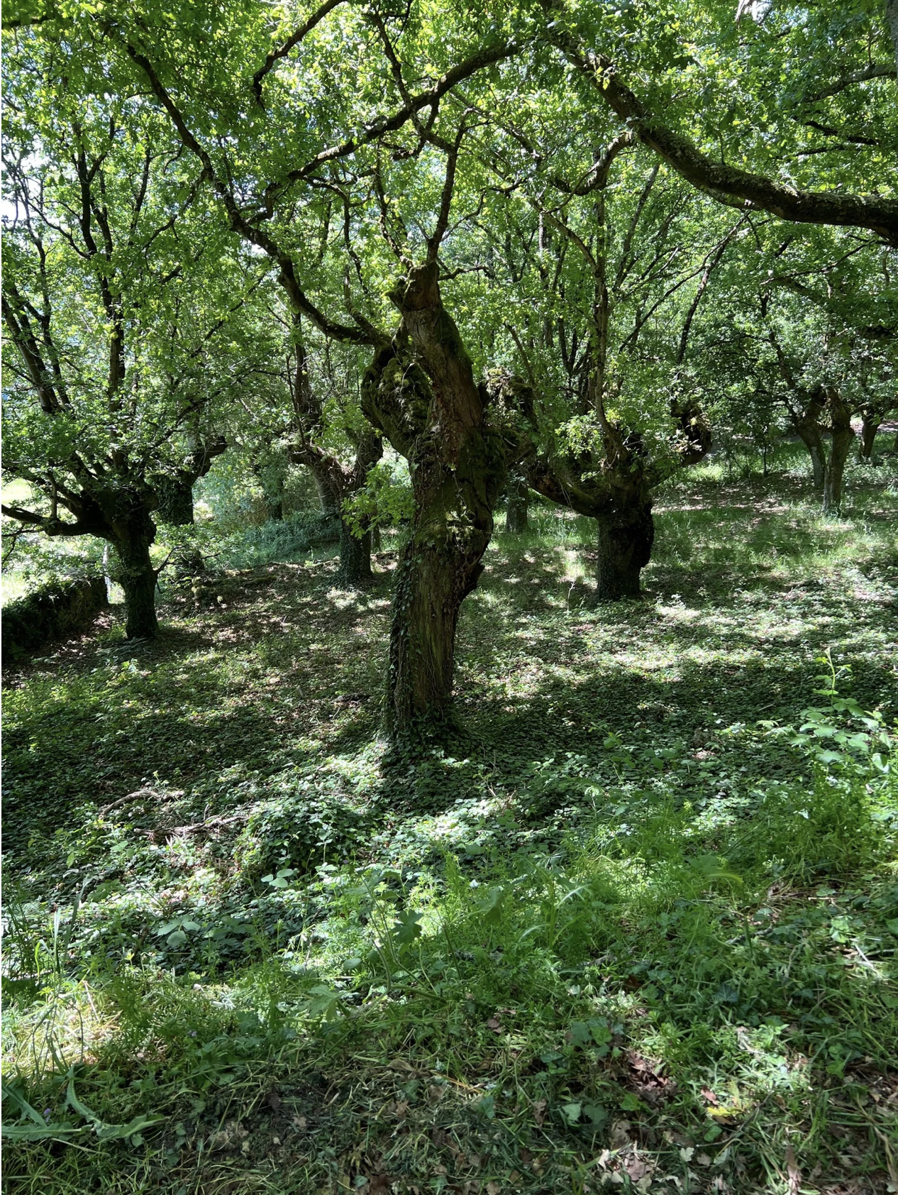 Screenshot 2026-03-11 at 10.22.05 AM.png