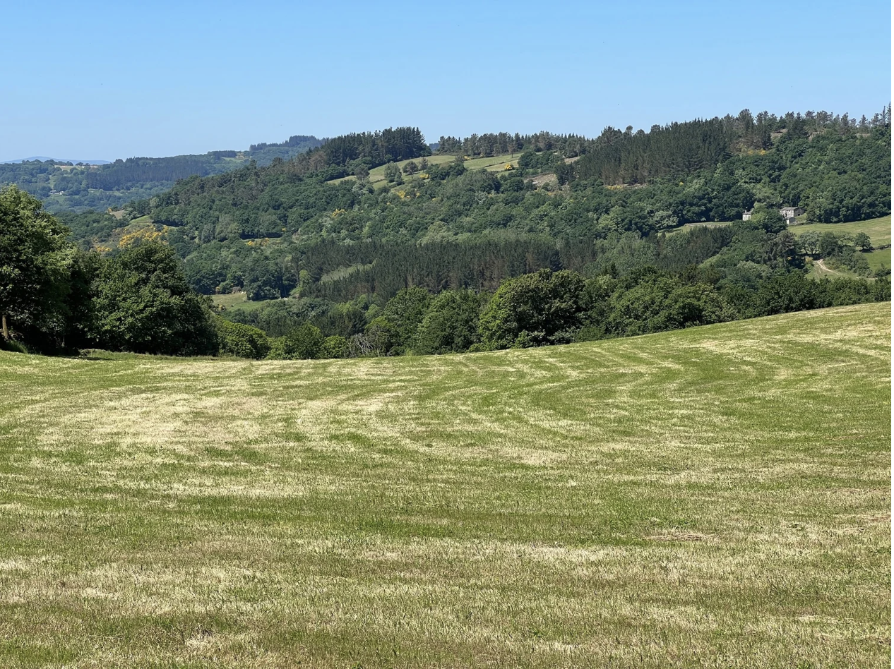 Screenshot 2026-03-11 at 10.22.19 AM.png