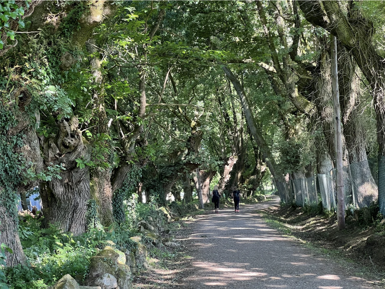 Screenshot 2026-03-11 at 10.22.44 AM.png