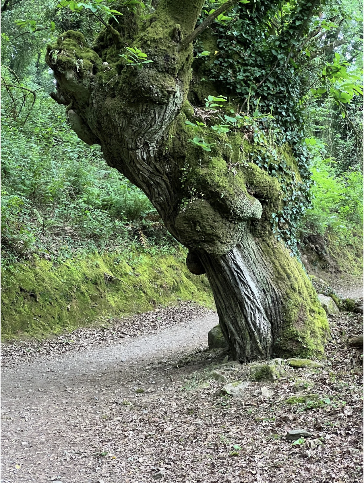 Screenshot 2026-03-11 at 10.23.58 AM.png