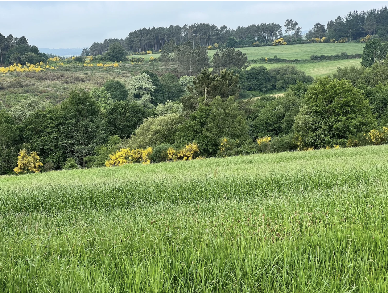 Screenshot 2026-03-11 at 10.36.25 AM.png