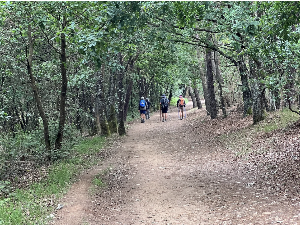 Screenshot 2026-03-11 at 10.37.04 AM.png