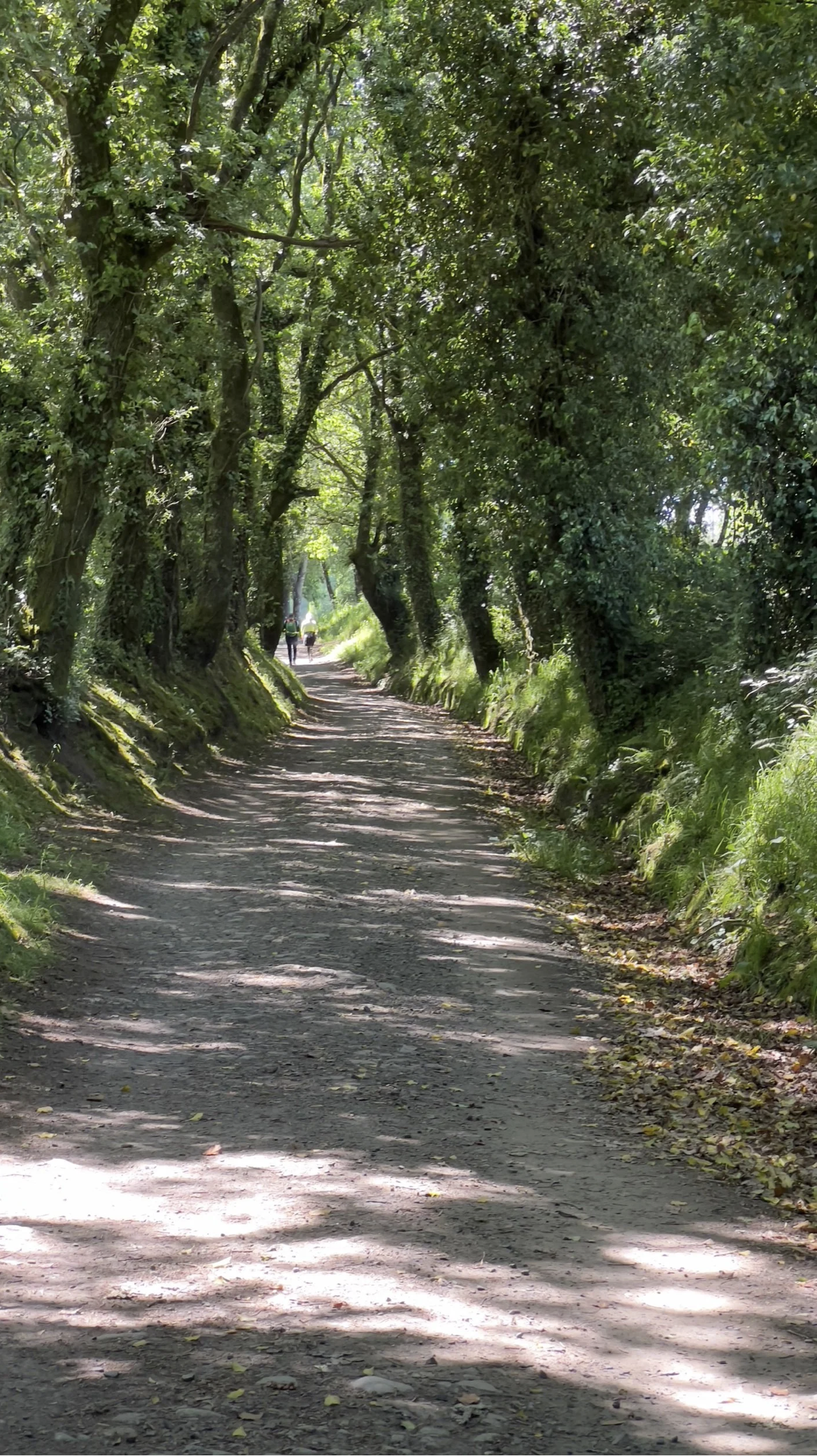 Screenshot 2026-03-11 at 10.37.31 AM.png