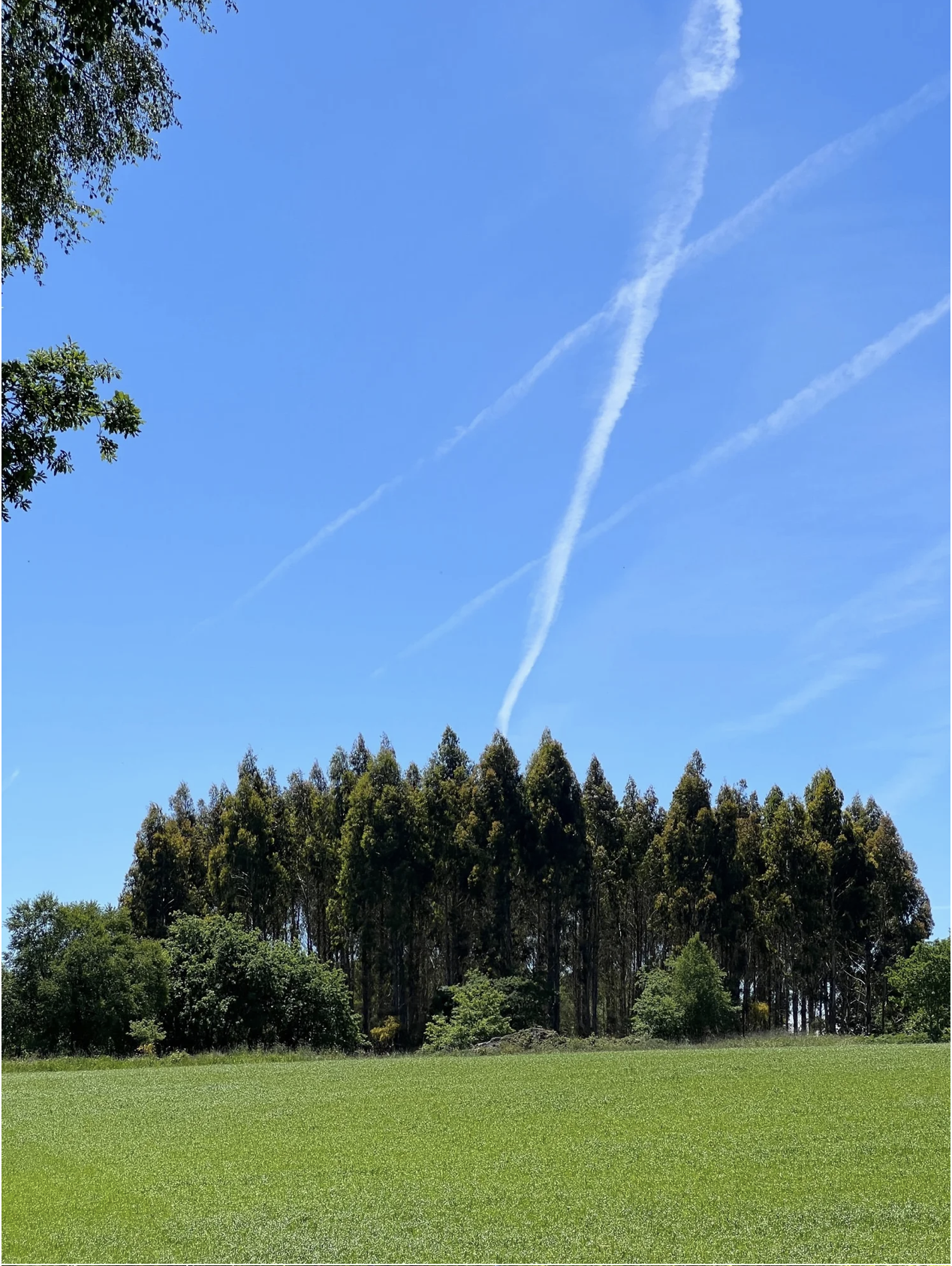 Screenshot 2026-03-11 at 10.38.52 AM.png